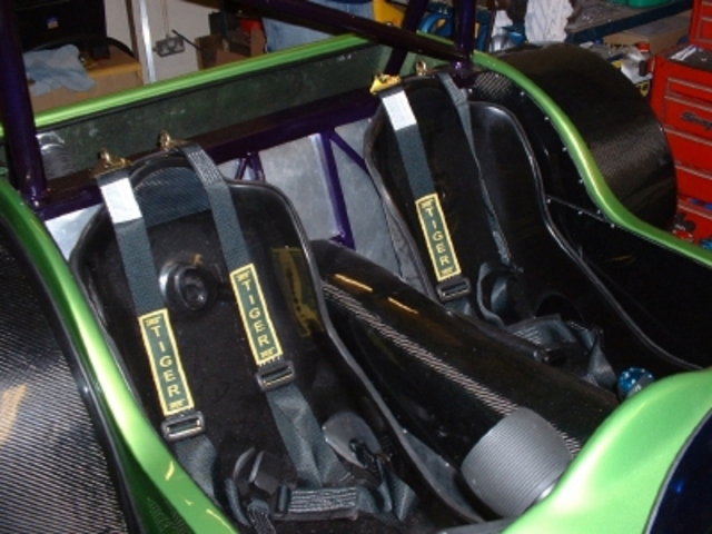 Rescued attachment seats in a tiger.jpg